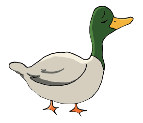 Canard-Caissette-3-2
